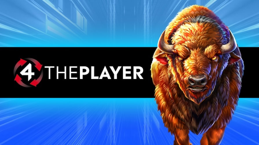 Провайдер 4ThePlayer