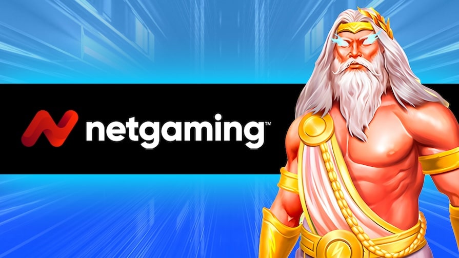 Провайдер NetGaming