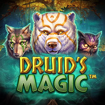 logo_ Druid’s Magic