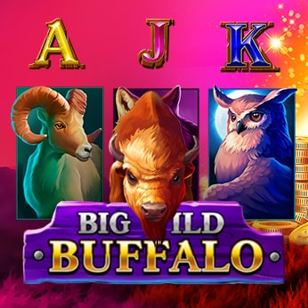 logo_ Big Wild Buffalo