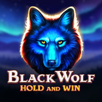 logo_ Black Wolf: Hold and Win