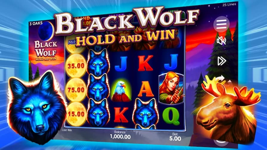 Black Wolf: Hold and Win Demo
