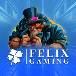 The Developer Felix Gaming