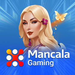 The Developer Mancala Gaming