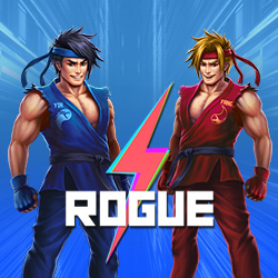 Провайдер Rogue Games