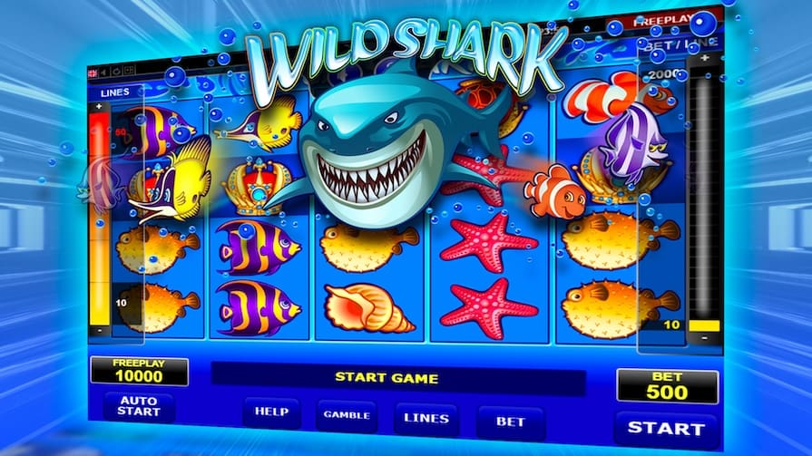 Demo Wild Shark