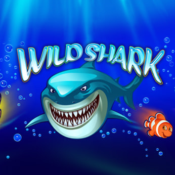 logo_ Wild Shark