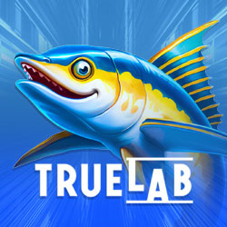 Провайдер TrueLab Games