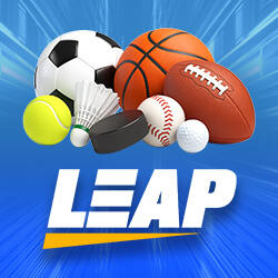 Провайдер Leap Gaming