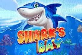 Shark’s Bay