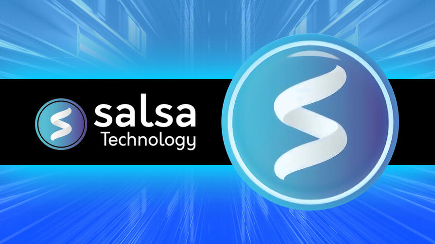 Провайдер Salsa Technology