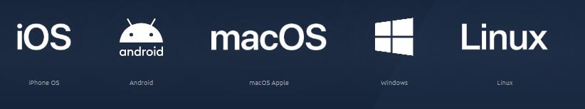 Provider Champion платформы