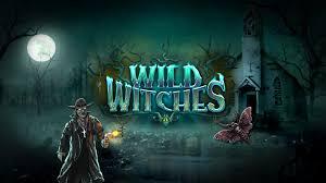 Слот Wild Witches