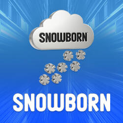 Провайдер Snowborn Games