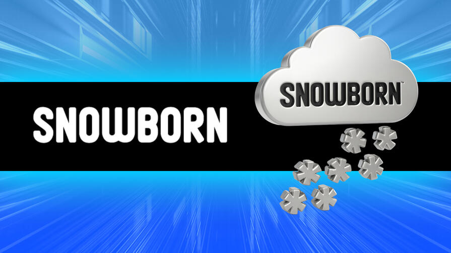 Провайдер Snowborn Games
