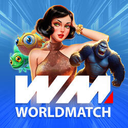Провайдер WorldMatch